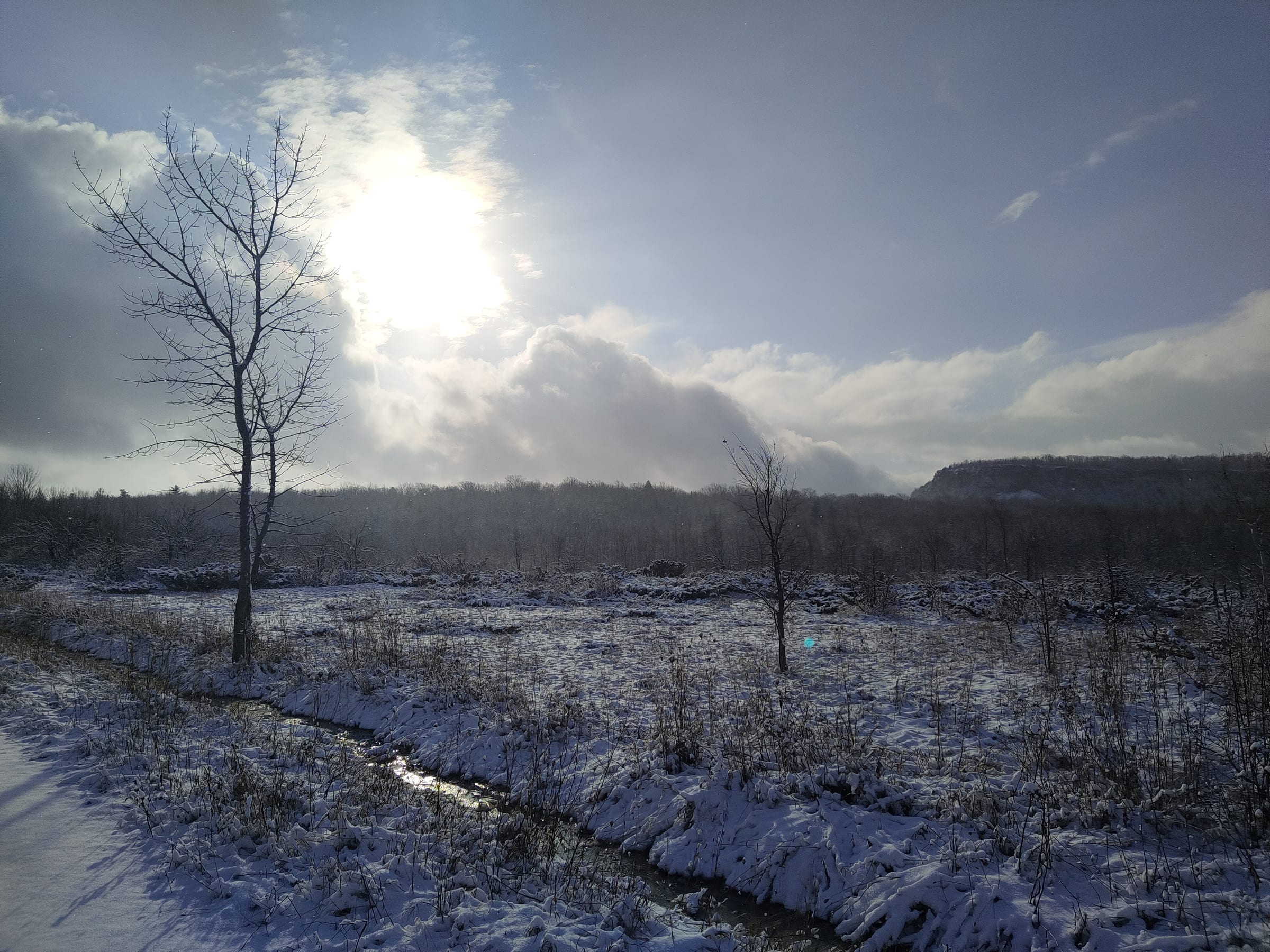 Snow-covered landscape